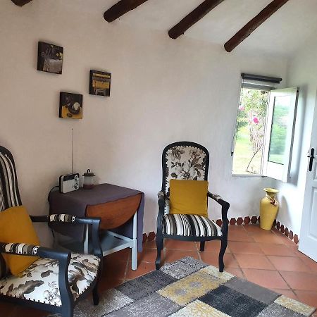 Le Clos D'Almide Monestier  Esterno foto