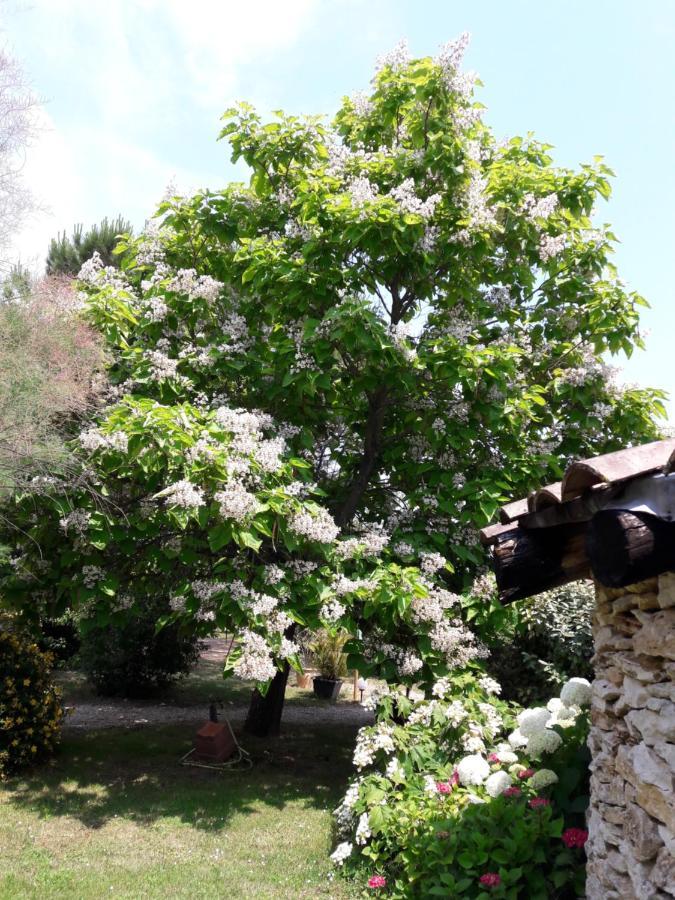 Le Clos D'Almide Monestier  Esterno foto